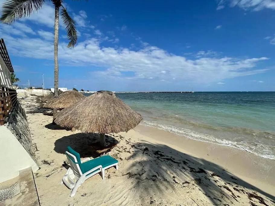 Palma Real By Andiani Apartment Puerto Morelos